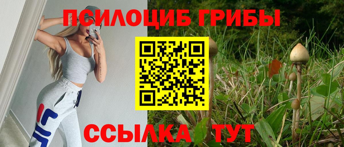 Ялуторовск  Псилоцибиновые грибы MAGIC MUSHROOMS  Вход с VPN  Галлюциногенные грибы GOLDEN TEACHER 