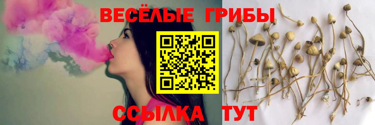 Галлюциногенные грибы MAGIC MUSHROOMS Ялуторовск